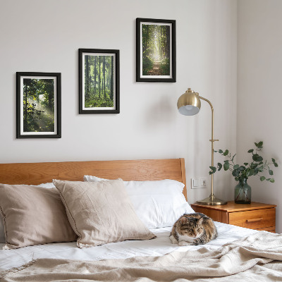 Ensemble de 3 tableaux Forêts verdoyantes avec des rayons de lumière et un chemin forestier