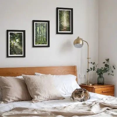 Ensemble de 3 tableaux représentant une forêt verdoyante avec des rayons de lumière et un chemin forestier