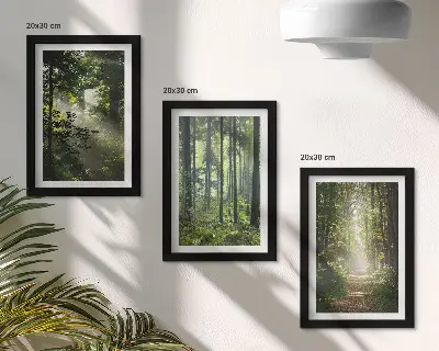 Ensemble de 3 tableaux représentant une forêt verdoyante avec des rayons de lumière et un chemin forestier