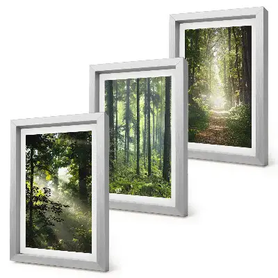 Ensemble de 3 tableaux représentant une forêt verdoyante avec des rayons de lumière et un chemin forestier
