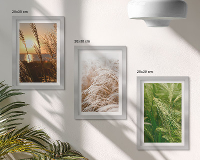 Mur de cadres Différents types d'herbes, nature colorée