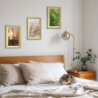 Mur de cadres motifs botaniques d'herbes naturelles colorées