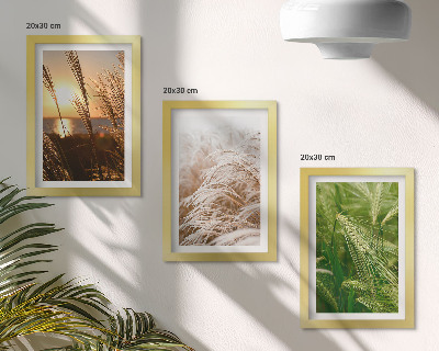 Mur de cadres Différents types d'herbes, nature colorée