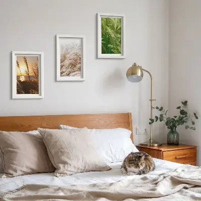 Mur de cadres motifs botaniques d'herbes naturelles colorées