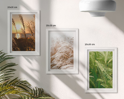Mur de cadres Différents types d'herbes, nature colorée