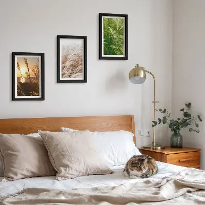 Mur de cadres motifs botaniques d'herbes naturelles colorées