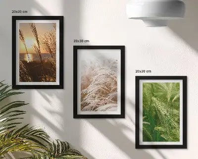 Mur de cadres motifs botaniques d'herbes naturelles colorées
