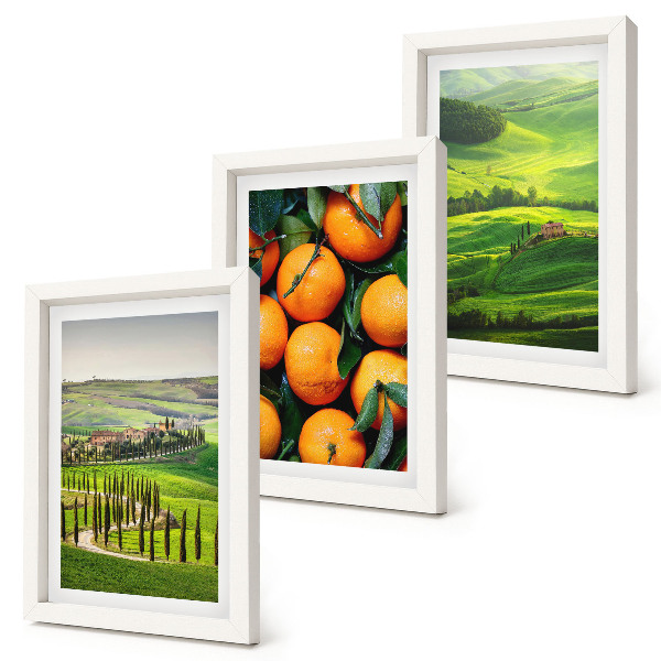 Ensemble de 3 tableaux Paysage de campagne italienne avec des orangers et la nature