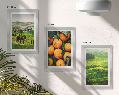 Ensemble de 3 tableaux Paysage de campagne italienne avec des orangers et la nature