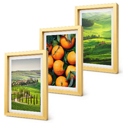 Ensemble de 3 tableaux Paysage de campagne italienne avec des orangers et la nature