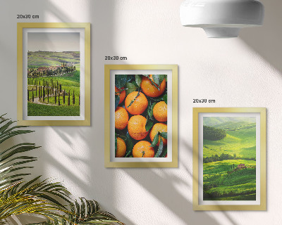 Ensemble de 3 tableaux Paysage de campagne italienne avec des orangers et la nature