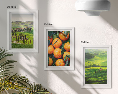 Ensemble de 3 tableaux Paysage de campagne italienne avec des orangers et la nature