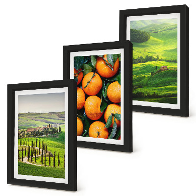 Ensemble de 3 tableaux Paysage de campagne italienne avec des orangers et la nature