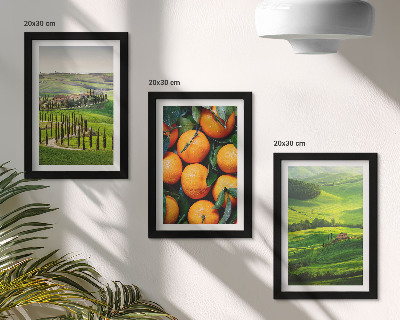 Ensemble de 3 tableaux Paysage de campagne italienne avec des orangers et la nature