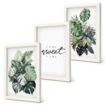 Ensemble de 3 tableaux Des plantes vertes avec les mots « Douce maison »