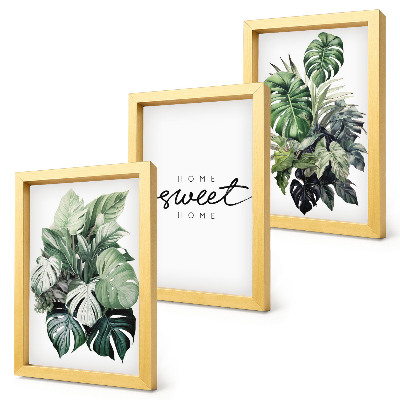 Ensemble de 3 tableaux Des plantes vertes avec les mots « Douce maison »