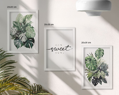 Ensemble de 3 tableaux Des plantes vertes avec les mots « Douce maison »