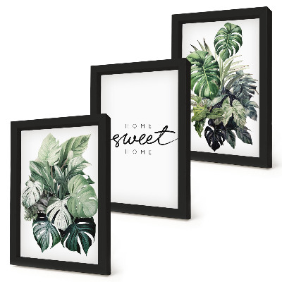 Ensemble de 3 tableaux Des plantes vertes avec les mots « Douce maison »