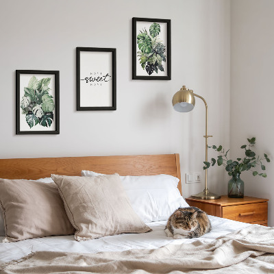 Ensemble de 3 tableaux Des plantes vertes avec les mots « Douce maison »