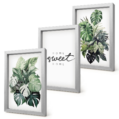 Ensemble de 3 tableaux Des plantes vertes avec les mots « Douce maison »