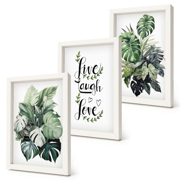 Mur de cadres Plantes feuillues avec les mots vivre, rire, aimer