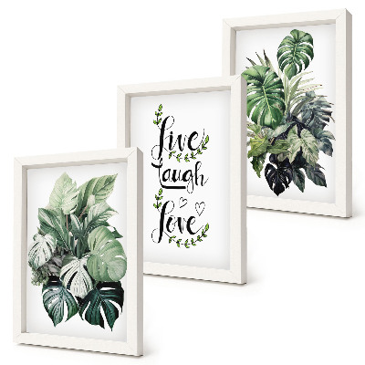 Mur de cadres Plantes feuillues avec les mots vivre, rire, aimer