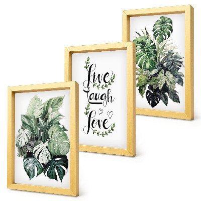 Mur de cadres Plantes feuillues avec les mots vivre, rire, aimer