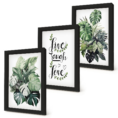 Mur de cadres Plantes feuillues avec les mots vivre, rire, aimer
