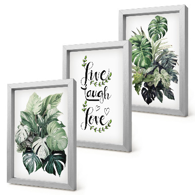 Mur de cadres Plantes feuillues avec les mots vivre, rire, aimer