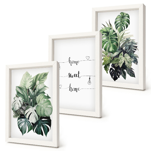 Lot de 3 tableaux Feuilles de Monstera aquarelle, chez soi