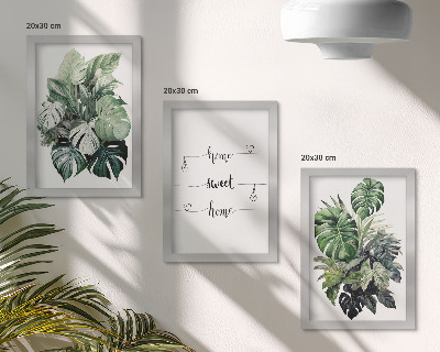 Lot de 3 tableaux Feuilles de Monstera aquarelle, chez soi