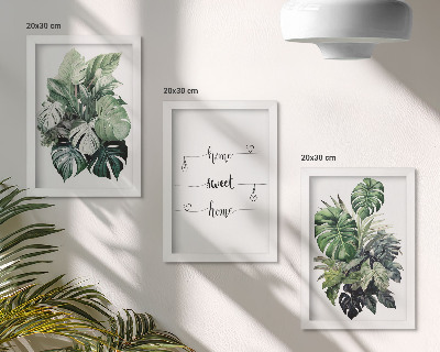 Lot de 3 tableaux Feuilles de Monstera aquarelle, chez soi