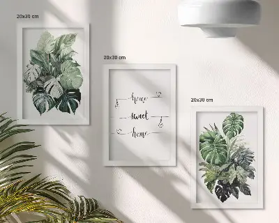 Lot de 3 tableaux motifs de feuilles de Monstera à l'aquarelle