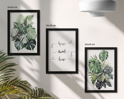 Lot de 3 tableaux Feuilles de Monstera aquarelle, chez soi