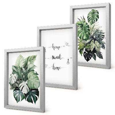 Lot de 3 tableaux Feuilles de Monstera aquarelle, chez soi