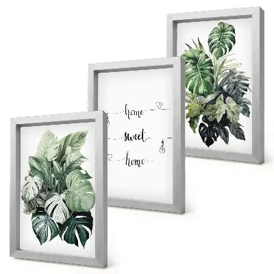 Lot de 3 tableaux motifs de feuilles de Monstera à l'aquarelle