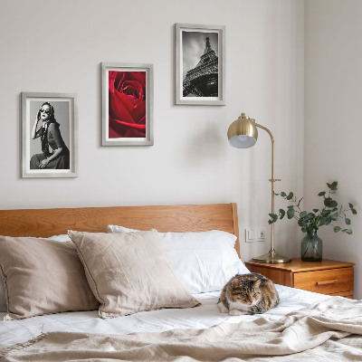 Ensemble de 3 tableaux Parisienne avec des lunettes roses et la tour Eiffel