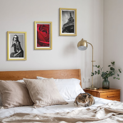 Ensemble de 3 tableaux Parisienne avec des lunettes roses et la tour Eiffel