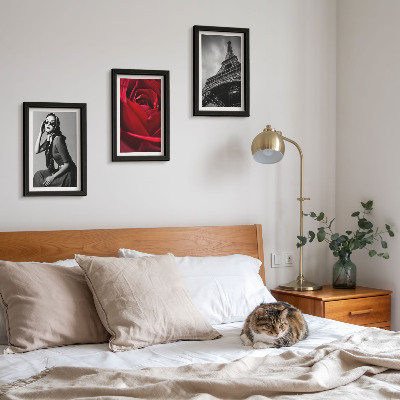 Ensemble de 3 tableaux Parisienne avec des lunettes roses et la tour Eiffel