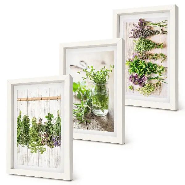 Ensemble de 3 tableaux représentant le séchage des herbes et des plantes pour la cuisine