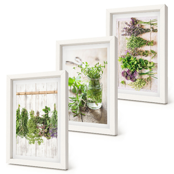 Ensemble de 3 tableaux Séchage des herbes et des plantes pour la cuisine