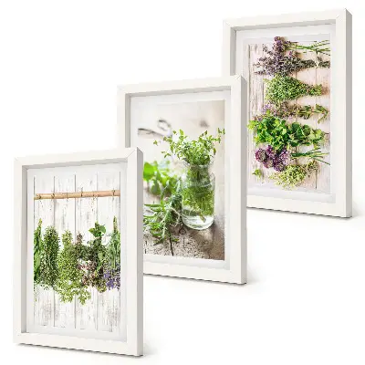 Ensemble de 3 tableaux représentant le séchage des herbes et des plantes pour la cuisine
