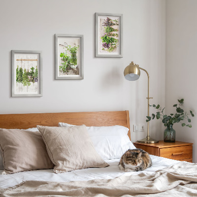 Ensemble de 3 tableaux Séchage des herbes et des plantes pour la cuisine