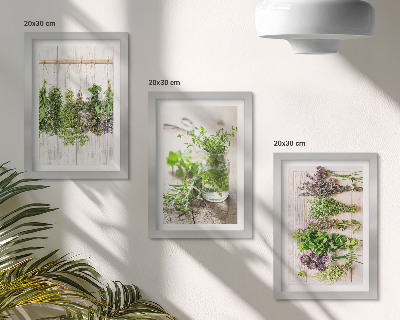 Ensemble de 3 tableaux Séchage des herbes et des plantes pour la cuisine