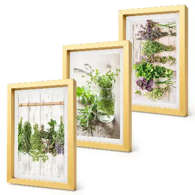 Ensemble de 3 tableaux représentant le séchage des herbes et des plantes pour la cuisine