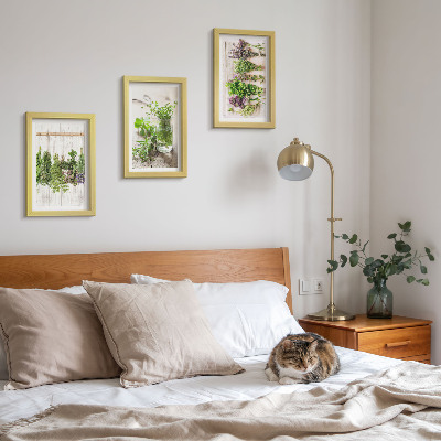 Ensemble de 3 tableaux Séchage des herbes et des plantes pour la cuisine