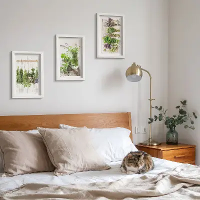Ensemble de 3 tableaux représentant le séchage des herbes et des plantes pour la cuisine