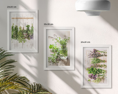 Ensemble de 3 tableaux Séchage des herbes et des plantes pour la cuisine