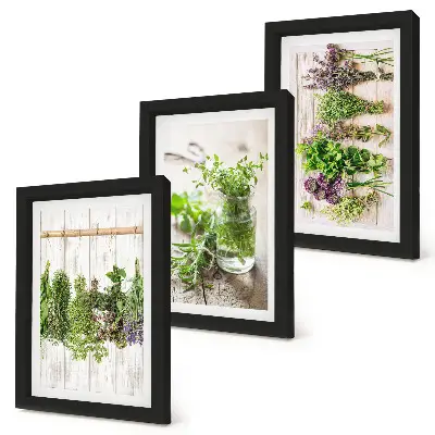 Ensemble de 3 tableaux représentant le séchage des herbes et des plantes pour la cuisine