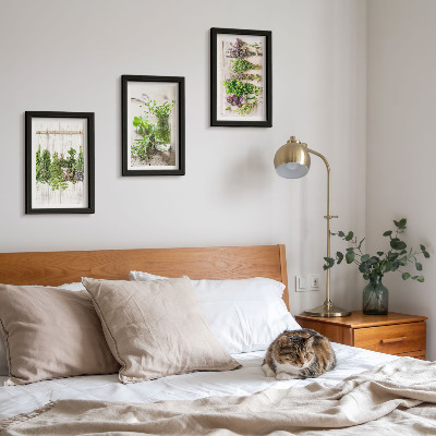 Ensemble de 3 tableaux Séchage des herbes et des plantes pour la cuisine